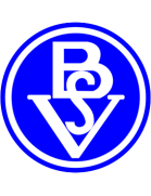 Bremer SV