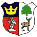 Cinderford Town